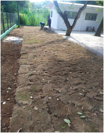 Our Work Image